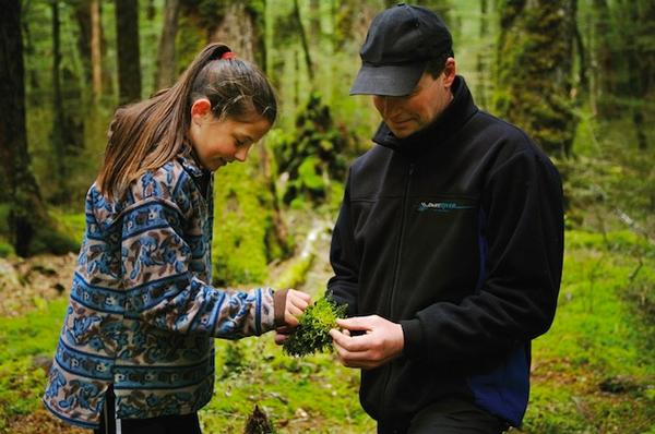 A guide on a Wilderness trip with Dart River Jet discusses flora and fauna.  